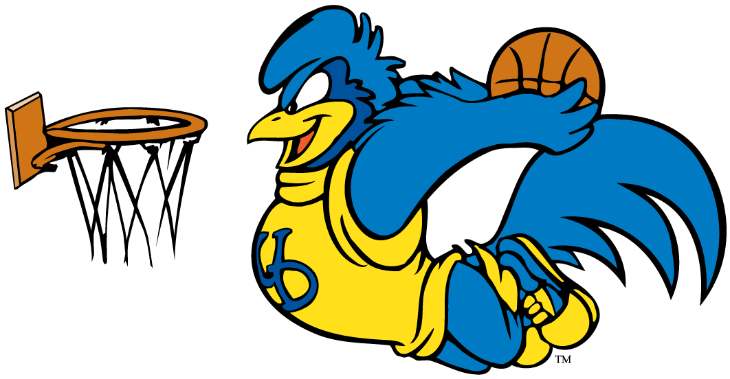 delaware blue hens 1993-pres mascot logo v7 diy iron on heat transfer